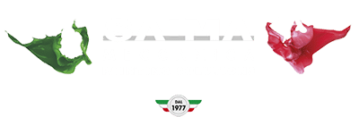 Saima-Meccanica